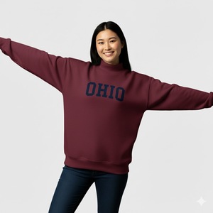 Servicio OEM, Logotipo Personalizado, Sudadera Casual de Mujer, Tejido de Punto, Felpa, Ecológica, Antiencogimiento, con Cuello Alto y Logotipo Frontal - Product Image 1