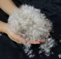 Rembourrage en duvet d'oie gris de haute qualité léger, chaud et respirant