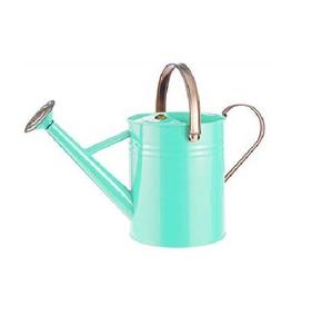 Arrosoir en métal galvanisé à motifs floraux décoratifs de jardin, écologique, durable, facile à verser de l'eau - Product Image 6