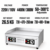 Grill électrique commercial à surface plate, double contrôle de température, plaque de 10 mm, interrupteur étanche, acier inoxydable, 220V/110V