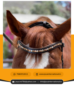 Bonne qualité Brown Patent Sparkle Anatomique Snaffle Bridle Factory Bulk Supply Fabriqué par Intelligent Horse Products - Product Image 5