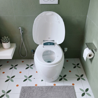 WC intelligent électrique moderne avec bidet intégré, style japonais, en forme d'œuf, noir et or, fabriqué en Chine