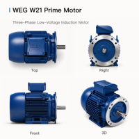 Moteur asynchrone triphasé WEG W21 Prime B35, Moteurs AC, Moteur électrique à pieds/bandes de fixation TEFC IC411 IP55 IE3/IE4