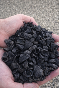 Biomasse de coques de noix de palme naturelles – Source d'énergie propre et durable - Product Image 4