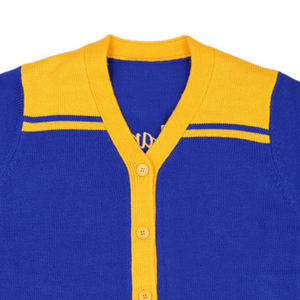 Nouvel an 1960 Chicago lycée bleu et jaune Cardigan lettre pull brodé ST Alphonsus catholique - Product Image 2