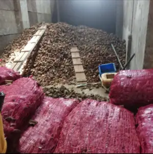 Natuurlijke Kopra Maaltijd Bulkvoorraad Beschikbaar