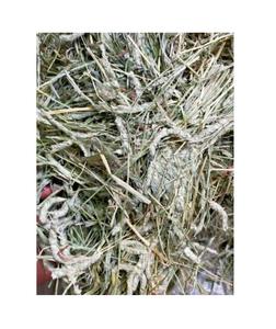 Foin de Timothy de qualité supérieure, grade A, pour chevaux et bovins, origine américaine, emballage en vrac - Product Image 3