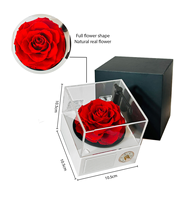Boîte cadeau en acrylique carrée avec rose éternelle, écran LED et haut-parleur phonographe - Cadeau d'Halloween
