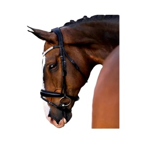 Bandeau de front en cristal Sierrra léger de 8mm Design noir confortable Bride d'équitation occidentale Bande de nez rembourrée Cheval en cuir véritable - Product Image 2