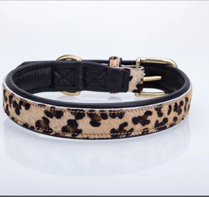 Collier de chien en cuir plat rembourré imprimé léopard poire tannerie collier de chien pour lévrier et Whippet - Product Image 2