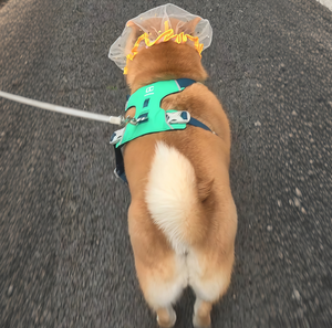 ELEVE - Bozal Transpirable para Perro, Ajustable, de Malla Suave, Anti-Mordidas, Anti-Ladridos, Anti-Masticación, con Diseño Floral, para Perros Pequeños, para Peluquería Canina y Entrenamiento - Product Image 3