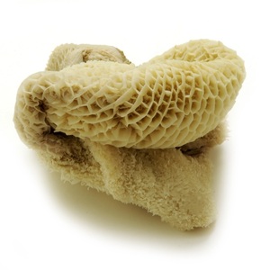 เนื้อควายฮาลาลสดแบบไม่มีกระดูก/ ตับวัวแช่แข็ง/ เนื้อวัวแช่แข็ง - Product Image 3