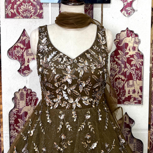 Robe Morden en couleur brun café riche avec travail multi-mains lourd avec beats paillettes et fil préfet pour les mariages Look - Product Image 2