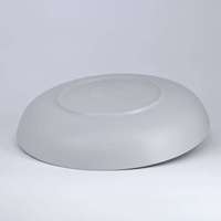 Plaque de mélamine de qualité supérieure de 10 pouces Couleur de plat sans BPA écologique Déco Europe Design exclusif Passe au lave-vaisselle-21835