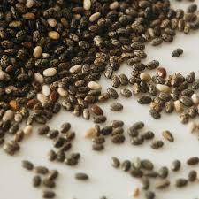 Cleaned Brown <b>Chia</b> <b>Seed</b> Bulk Wholesale | Raw USDA <b>Organic</b> 25kg/bag - Product Image 5