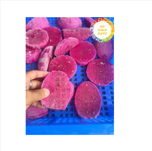 Cubos de Fruta del Dragón Congelados Naturales de Vietnam, Producidos a partir de Fruta del Dragón Fresca Seleccionada para Ingredientes de Bebidas y Comercio al por Mayor - Product Image 5