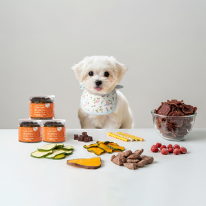 [DI COCCO] UroCare di Cocco Günlük Evcil Hayvan Sağlığı Çiğnenebilir Besin Takviyesi Köpekler ve Kediler için Organ Dengesi - Product Image 4