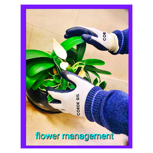 Guantes hechos en Corea para el trabajo CORDK GIL Guantes de bambú para jardinería Protección de manos de bambú Antideslizante Jardinería Pesca - Product Image 3