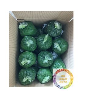 ใบมันสำปะหลังธรรมชาติจากเวียดนาม - Product Image 5