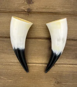 Decoración Náutica Decorativa de Tamaño Mediano en Blanco y Negro Pulido, Decoración para el Hogar de Forma Natural, Cuerno de Buey, Búfalo, 20 30 cm - Product Image 4
