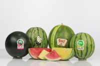 Flor De Goias Pingo Doce Verse Gele Watermeloen - Hoge Brix, Knapperig, Weinig Zaden, Stevige Vruchtvlees, Premium Kwaliteit, Lange Houdbaarheid, Klaar om te Eten