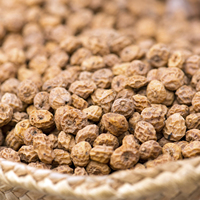 Fabrieks prijs, populaire tijgernoten groothandel, 100% natuurlijke premium kwaliteit gedroogde rauwe noten, gezonde fruitsnack, bulk verpakking, vacuüm verpakt