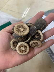 Exportación a granel precio competitivo naranja joven seca del proveedor de Vietnam - Product Image 4