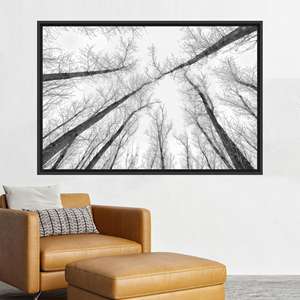 Elegant Black and White Tall Trees Art Printed Canvas Poster,1P:Black <b>Framed</b> - Product Image 1
