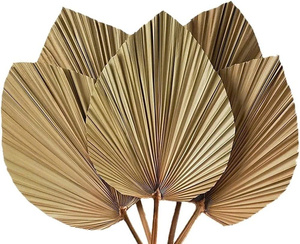 DÉCORATION DE FEUILLES SÉCHÉES NATURELLES ABAT-JOUR MURAL - Product Image 2