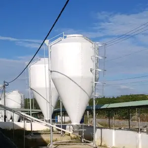 Automatic pig feeding silo Stainless Steel from Vietnam Manufacturer Wholesale small feed silo for pig