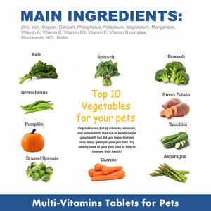 Comprimés à mâcher pour la croissance musculaire OEM ODM, chiots, chiens adultes, chiots, vitamines pour chiens, compléments alimentaires, croissance musculaire, croissance ultime canine - Product Image 5