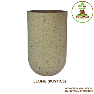 Maceta decorativa de fibra de vidrio al por mayor para espacios interiores y exteriores añade sofisticación al jardín - Product Image 2