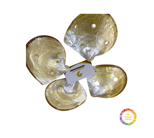 Vente en gros de nacre assiette en nacre coquillage naturel assiette en nacre polie assiette en nacre pour un repas élégant - Product Image 3