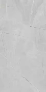 Berlistone Bianco 800x1600mm Carreaux de sol en porcelaine mat de qualité supérieure Inde Premium - Product Image 5