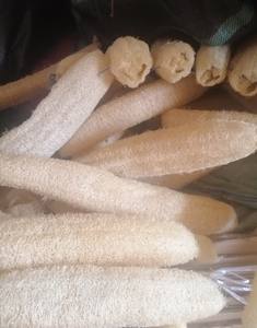 Éponge luffa séchée pour le nettoyage/luffa à vendre du Vietnam or 99 - Product Image 4