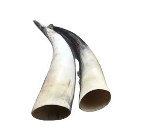 Sculpture de luxe en corne de buffle naturelle avec base en métal, décoration rustique et moderne pour la maison et la table - Product Image 5