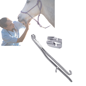 Pince dentaire vétérinaire équine professionnelle Extracteur de dents dentaires à mâchoire inférieure disponible dans toutes les tailles Instrument chirurgical dentaire - Product Image 4