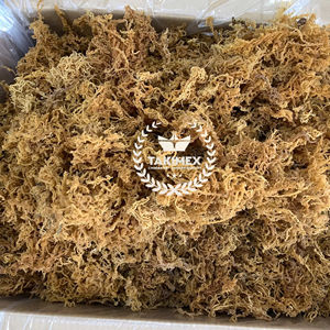 Top Vietnamese Supplier <b>Sea</b> <b>Moss</b> Purple <b>Sea</b> <b>Moss</b> Dried <b>Sea</b> <b>moss</b> st lucia New Crop Dried Irish Dried Make <b>Gel</b> <b>Organic</b> - Product Image 1
