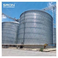 Silo de Acero Galvanizado en Caliente de Doble Capa SRON SILO de 50-15,000T de Capacidad para Almacenamiento de Granos, Económico, con Monitoreo PLC para Fábrica