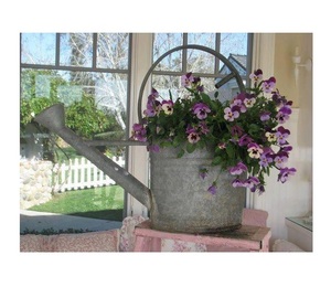 Maceta Decorativa para el Hogar y Regadera de Diseño Premium, Regadera Galvanizada para Jardín y Patio a Precio Económico - Product Image 1