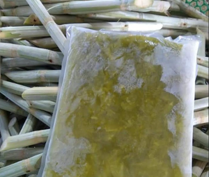 Jus et pulpe de canne à sucre du Vietnam | Traitement de qualité supérieure, Certifié HACCP/ISO, Exportation en vrac, Support après-vente - Product Image 1