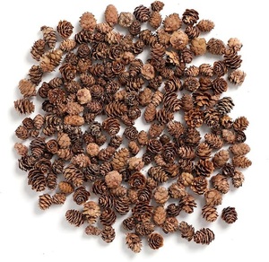 Pinecone Natural en precio al por mayor Pinecone Decoración navideña para decoración de habitaciones y fiestas - Product Image 5