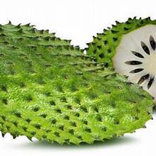 ÉTIQUETTE PROPRE CONGELÉE SOURSOP PULPE USINE DE FRUITS DÉRIVÉS POUR UN SOUTIEN IMMUNITAIRE ET ÉNERGÉTIQUE - Product Image 6