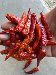 Piment rouge séché entier sans tige, à haute teneur en capsaïcine, pour la production de sauce piquante, épice de qualité supérieure, commerce de gros international - Product Image 2