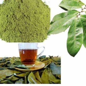 Pure Soursop Leaves/ <b>Flash</b> <b>Sale</b>: 24 Hours of Incredible Saving! - Product Image 4