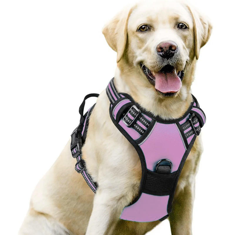 Pink Harness
