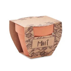 Juego de Regalo Ecológico de Tarro de Semillas de Menta de Terracota, Gadgets Ecológicos para Empresas - Product Image 2