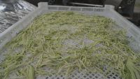 Hete Verkoop Industriële Elektrische Droging Dehydrator Voedsel Groentesalade Gedehydrateerde Plantaardige Productielijn