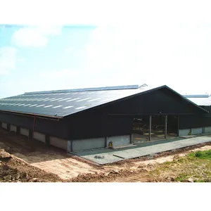 Prefabricated Prefab Cattle Cow Goat Dairy farming Shed Design