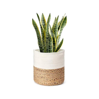 Nouvelle Arrivée Panier de Rangement et de Culture en Jute Tressé à Rayures, Écologique, de Poids Moyen, 100% Jute du Bangladesh, Couleur Personnalisable